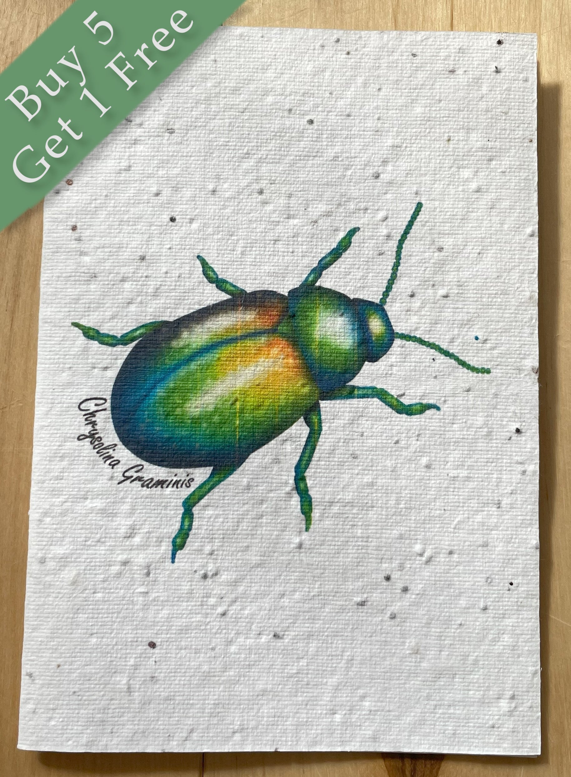 Beetle Wildflower Seed Card