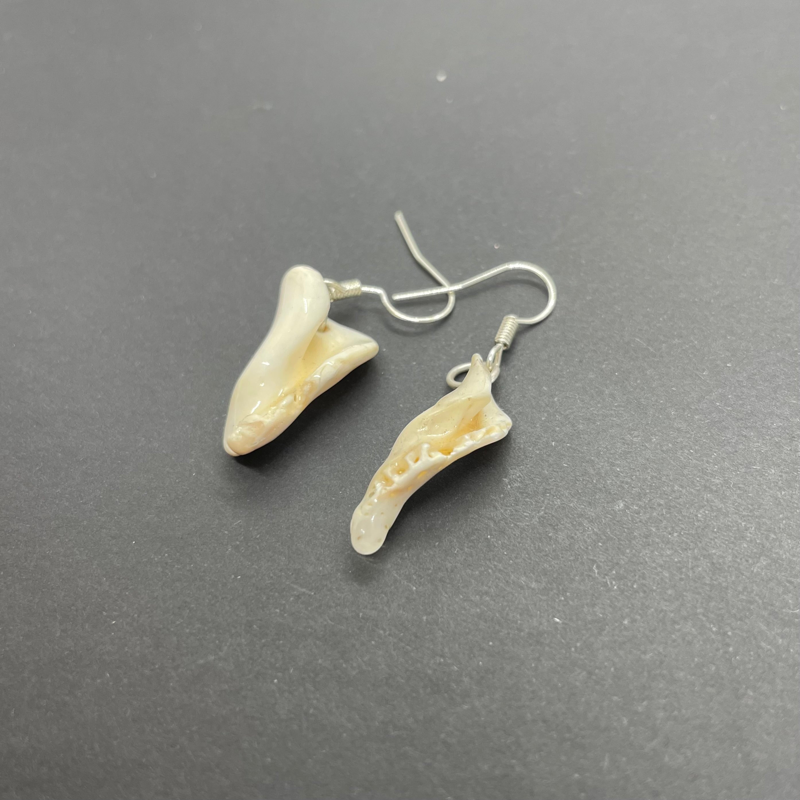 Shell Column Earrings