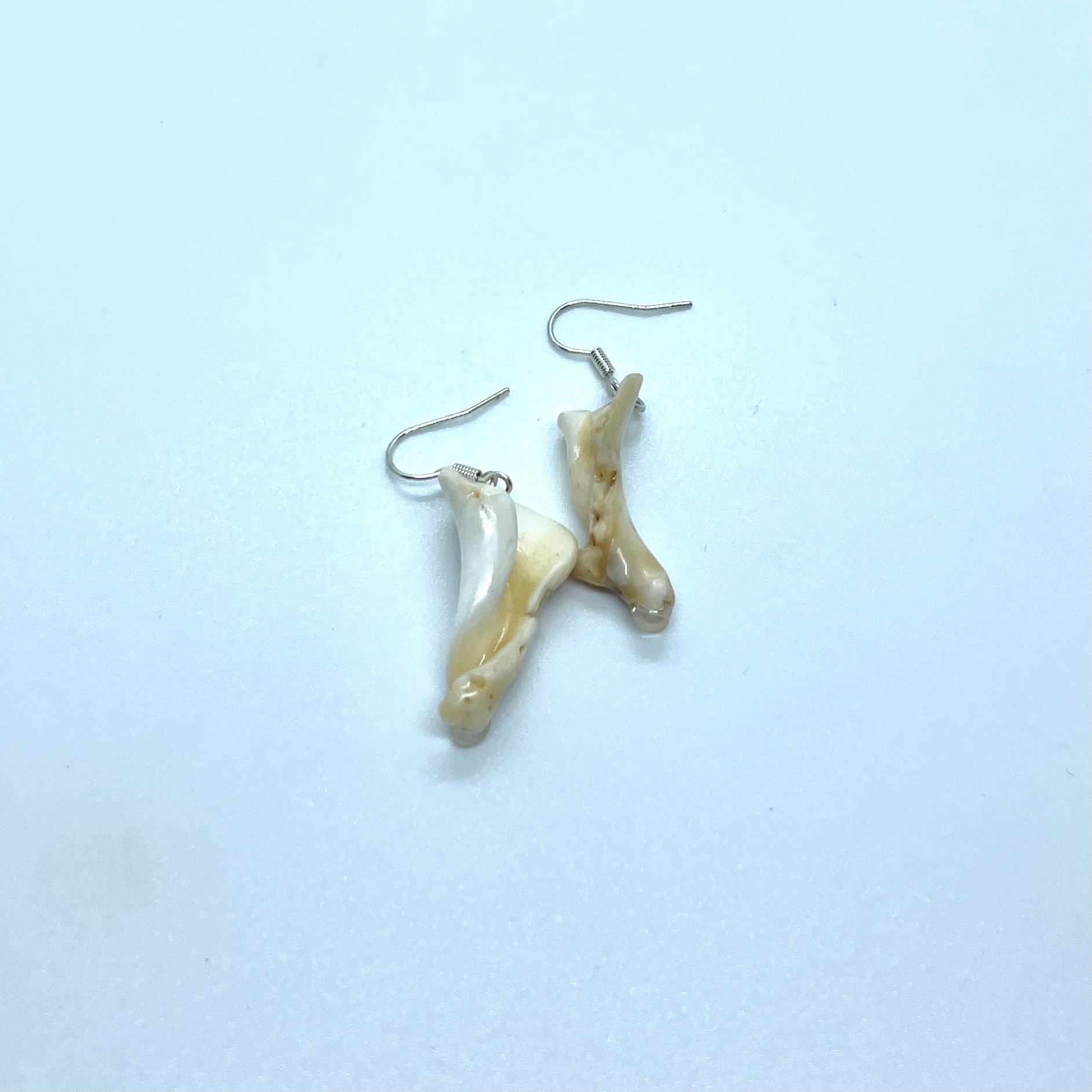 Shell Column Earrings