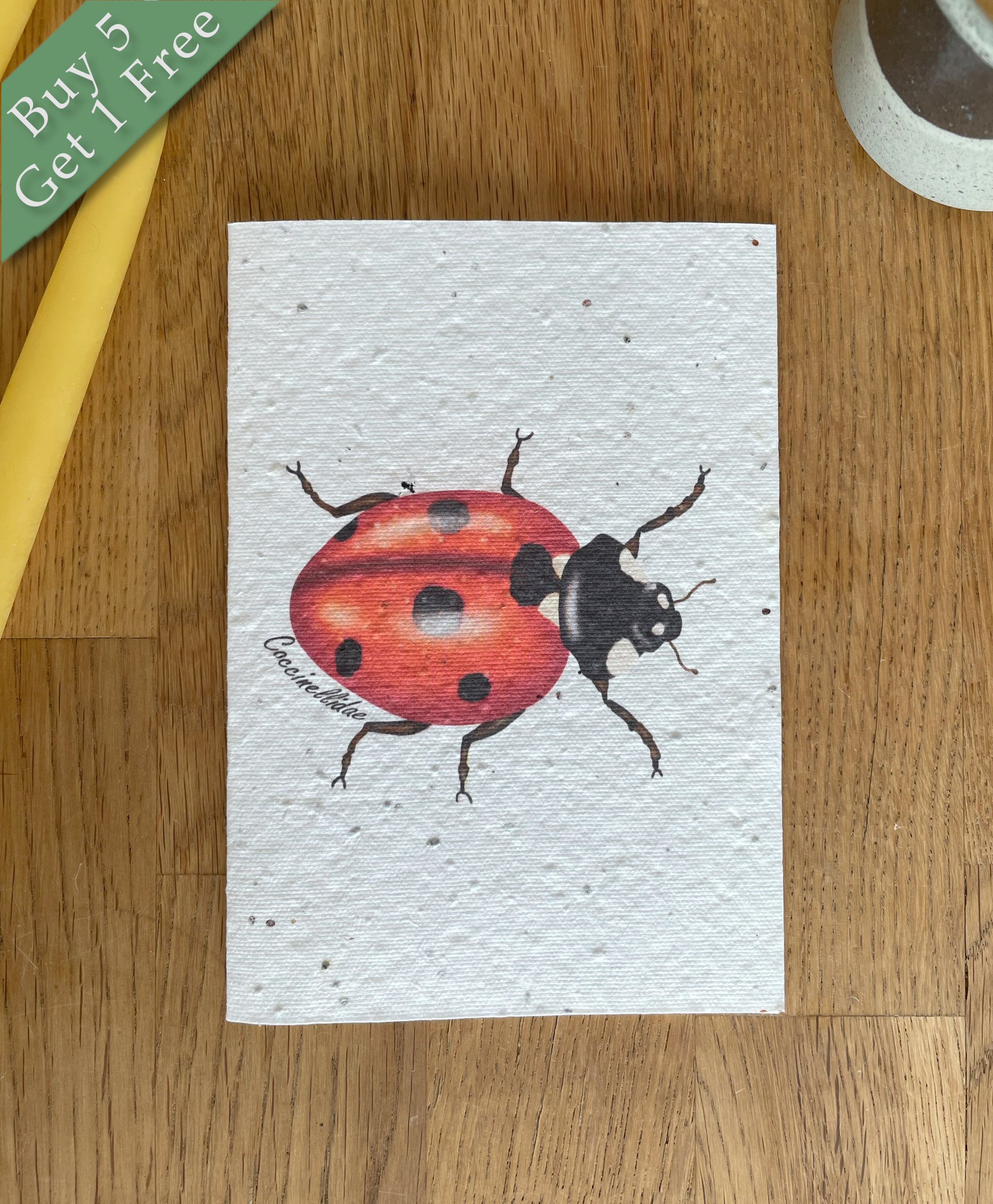 Ladybird Wildflower Seed Card