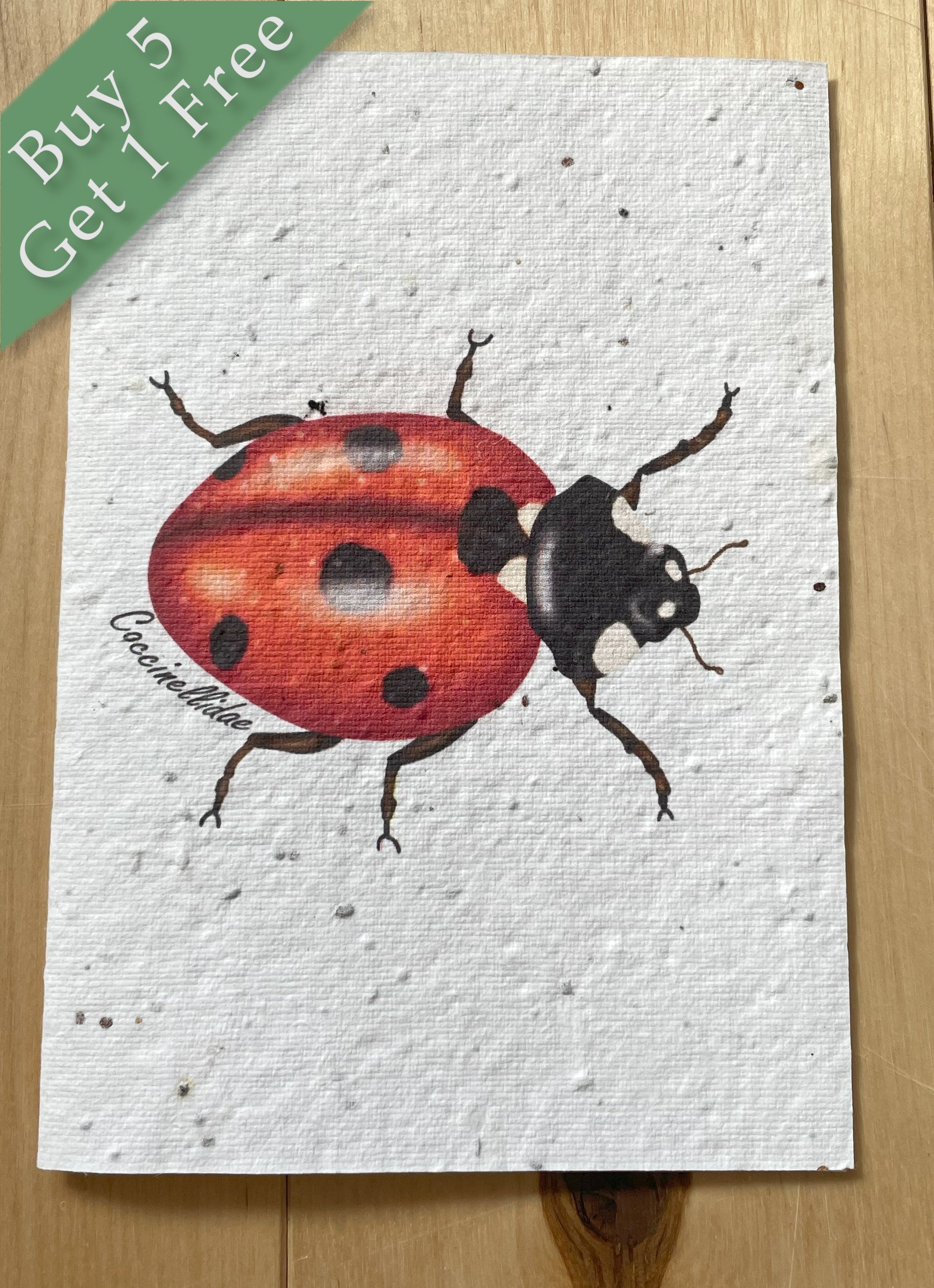 Ladybird Wildflower Seed Card